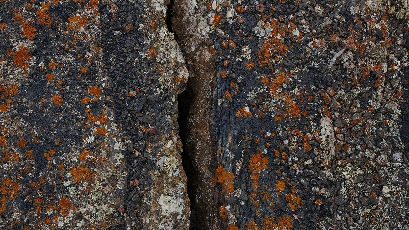 Abstrakte dunkle Gesteinsstruktur mit tiefer schmaler Spalte und orangefarbenen Flechten